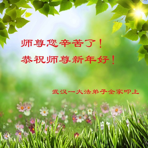 Image for article I praticati della Falun Dafa della provincia dell'Hubei augurano rispettosamente al Maestro Li Hongzhi un felice anno nuovo cinese (23 Auguri)