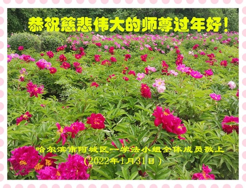 Image for article ​I praticanti della Falun Dafa di Harbin augurano rispettosamente al Maestro Li Hongzhi un felice anno nuovo cinese (22 saluti) 
