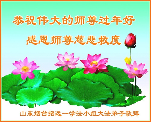 Image for article I praticanti della Falun Dafa della provincia dello Shandong augurano rispettosamente al Maestro Li Hongzhi un Felice Anno Nuovo Cinese (27 auguri) 