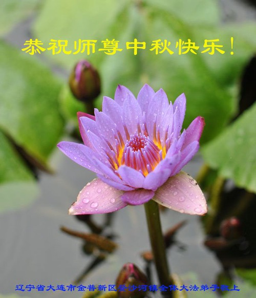 Image for article I praticanti della Falun Dafa della città di Dalian augurano rispettosamente al Maestro Li Hongzhi un felice Festival di Metà Autunno (21 saluti)