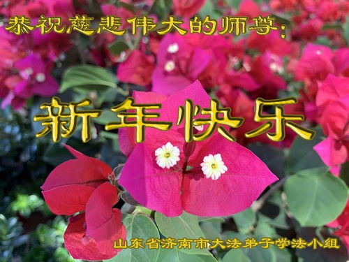 Image for article Praktisi Falun Dafa dari Kota Jinan dengan Hormat Mengucapkan Selamat Tahun Baru Imlek kepada Guru Li Hongzhi (27 Ucapan)
