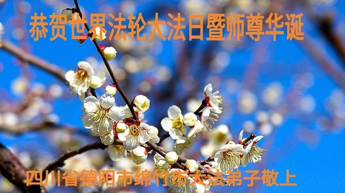 Image for article I praticanti della Falun Dafa delle provincie del Sichuan e dello Yunnan celebrano la Giornata Mondiale della Falun Dafa e augurano rispettosamente un buon compleanno al Maestro Li Hongzhi (21 auguri)