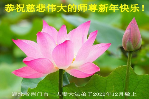 Image for article I praticanti della Falun Dafa nella provincia dell’Hubei augurano rispettosamente al Maestro Li Hongzhi un felice anno nuovo (21 saluti)