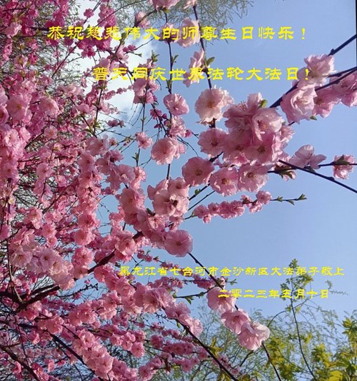 Image for article I praticanti della Falun Dafa della provincia dell’Heilongjiang celebrano la Giornata Mondiale della Falun Dafa e augurano rispettosamente un buon compleanno al Maestro Li Hongzhi (25 auguri)