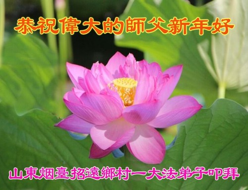 Image for article I praticanti della Falun Dafa nelle aree rurali cinesi augurano al fondatore della pratica un felice capodanno cinese (24 saluti)