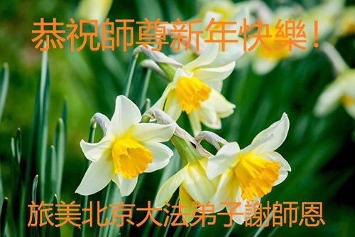 Image for article I praticanti della Falun Dafa di Beijing augurano rispettosamente al Maestro Li Hongzhi un Felice Anno Nuovo Cinese (22 Auguri) 