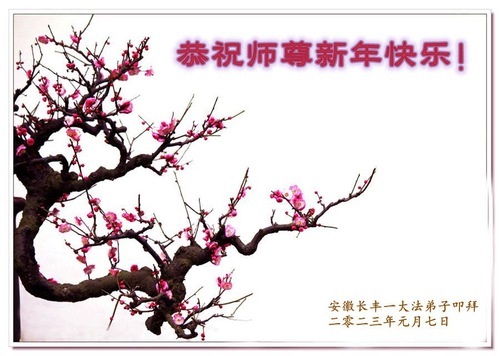 Image for article Praktisi Falun Dafa dari Provinsi Anhui dengan Hormat Mengucapkan Selamat Tahun Baru Imlek kepada Guru Li Hongzhi (24 Ucapan)