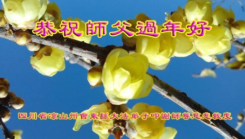 Image for article Praktisi Falun Dafa dari Sichuan Mengucapkan Selamat Tahun Baru Imlek kepada Guru Li Hongzhi Terhormat (19 Ucapan) 