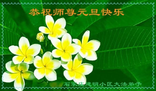 Image for article I praticanti della Falun Dafa di Shijiazhuang augurano rispettosamente al Maestro Li Hongzhi un felice Anno Nuovo (20 auguri) 