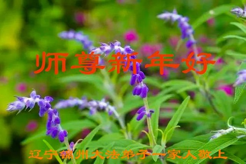 Image for article Praktisi Falun Dafa dari Kota Jinzhou dengan Hormat Mengucapkan Selamat Tahun Baru kepada Guru Li Hongzhi (25 Ucapan)