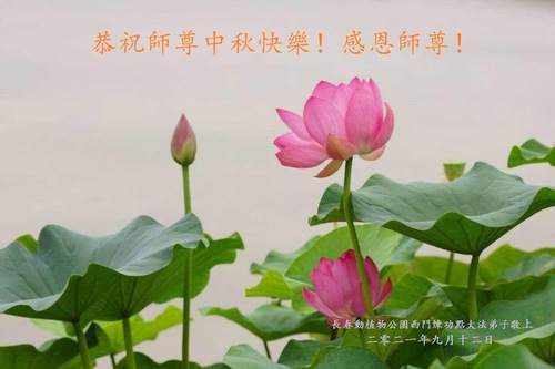Image for article I praticanti della Falun Dafa di Changchun augurano rispettosamente al Maestro Li Hongzhi un felice Festival di Metà Autunno (18 Auguri) 