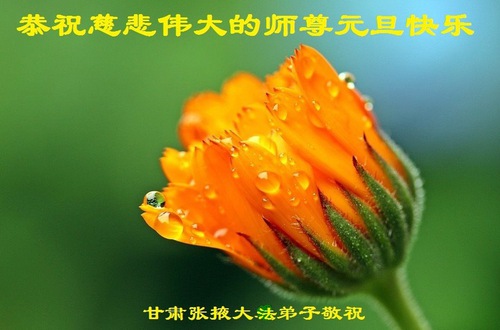 Image for article Praktisi Falun Dafa dari Gansu dengan Hormat Mengucapkan Selamat Tahun Baru kepada Guru Li Hongzhi (23 Ucapan)