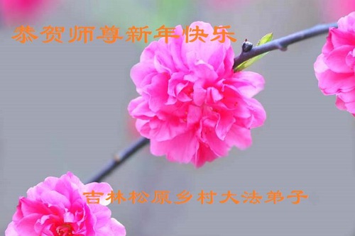 Image for article ​I praticanti della Falun Dafa in campagna in Cina augurano al Maestro Li Hongzhi un felice anno nuovo (21 saluti) 