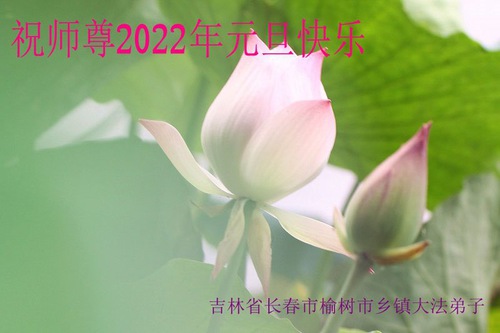 Image for article I praticanti della Falun Dafa delle aree rurali della Cina augurano rispettosamente al Maestro Li Hongzhi un felice Anno Nuovo (23 auguri)