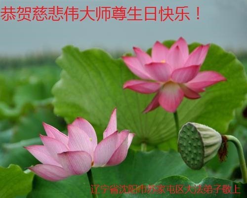 Image for article Praktisi Falun Dafa dari Kota Shenyang Merayakan Hari Falun Dafa Sedunia dan dengan Hormat Mengucapkan Selamat Ulang Tahun kepada Guru Li Hongzhi (20 Ucapan)