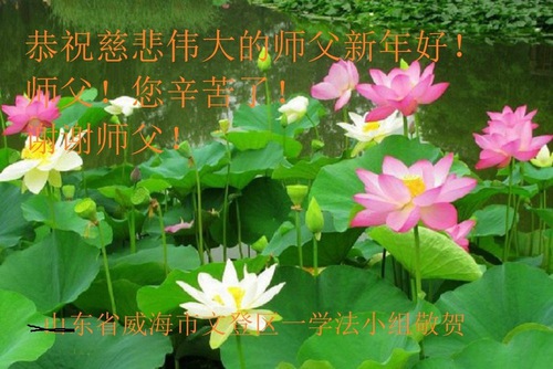 Image for article I praticanti della Falun Dafa della provincia dello Shandong augurano rispettosamente al Maestro Li Hongzhi un felice anno nuovo cinese (19 Auguri) 
