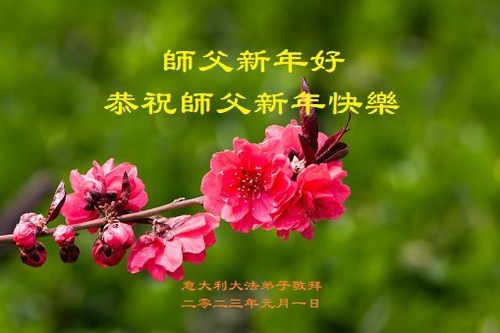 Image for article Praktisi Falun Dafa dari Italia dan Turki dengan Hormat Mengucapkan Selamat Tahun Baru kepada Guru Li Hongzhi