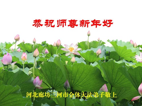 Image for article Praktisi Falun Dafa dari Kota Langfang dengan Hormat Mengucapkan Selamat Tahun Baru kepada Guru Li Hongzhi (28 Ucapan)