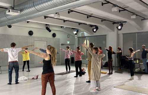Image for article ​Finlândia: Visitantes do Festival de Yoga aprendem os exercícios do Falun Dafa