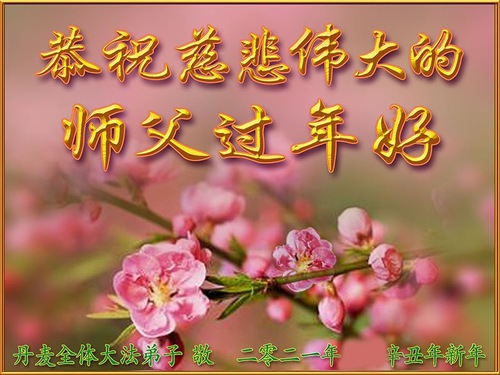 Image for article I praticanti della Falun Dafa in Danimarca, Svezia e Norvegia augurano rispettosamente al Maestro Li Hongzhi un felice capodanno cinese