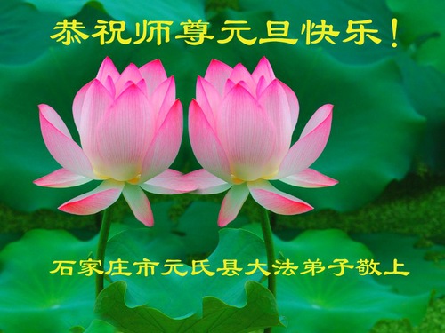 Image for article I praticanti della Falun Dafa della città di Shijiazhuang augurano rispettosamente al Maestro Li Hongzhi un felice anno nuovo (26 auguri)