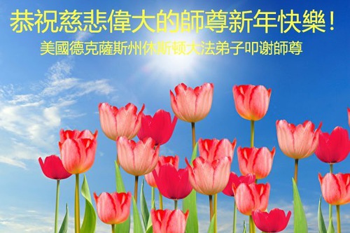 Image for article I praticanti della Falun Dafa negli Stati Uniti meridionali augurano al Maestro un felice anno nuovo