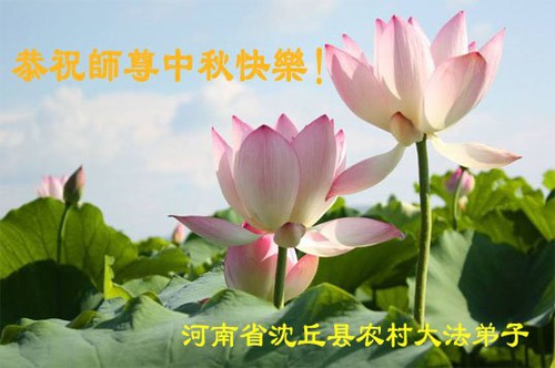 Image for article I praticanti della Falun Dafa provenienti dalla campagna augurano al Maestro Li Hongzhi un felice Festival di Metà Autunno (26 saluti) 