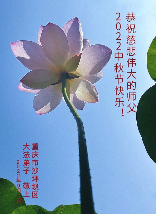 Image for article I praticanti della Falun Dafa di Chongqing augurano rispettosamente al Maestro Li Hongzhi una felice Festa di Metà Autunno (19 auguri) 