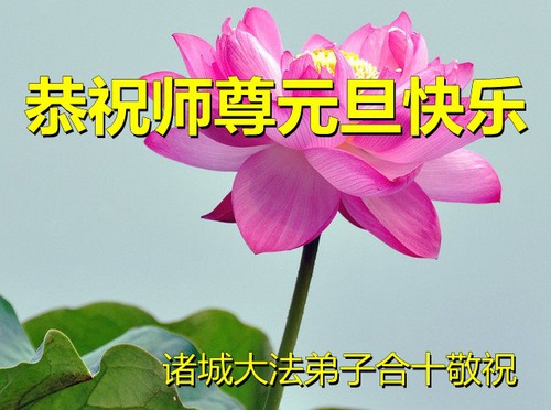 Image for article Praktisi Falun Dafa dari Kota Weifang dengan Hormat Mengucapkan Selamat Tahun Baru kepada Guru Li Hongzhi (22 Ucapan)