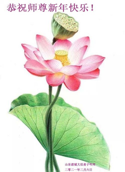 Image for article Praktisi Falun Dafa dari Kota Weifang Mengucapkan Selamat Tahun Baru Imlek kepada Guru Li Hongzhi Terhormat (21 Ucapan) 
