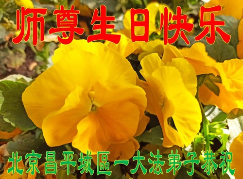 Image for article ​I praticanti della Falun Dafa di Pechino celebrano la Giornata Mondiale della Falun Dafa e augurano rispettosamente al Maestro Li Hongzhi un felice compleanno (25 Auguri) 
