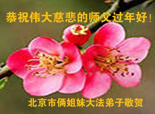Image for article I praticanti della Falun Dafa di Pechino augurano rispettosamente al Maestro Li Hongzhi un Felice Anno Nuovo Cinese (18 auguri)