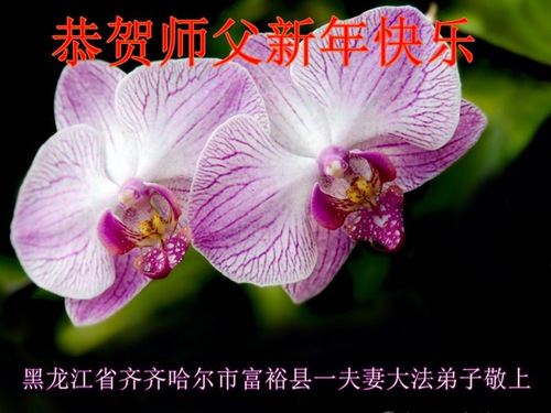 Image for article Praktisi Falun Dafa dari Kota Qiqihar dengan Hormat Mengucapkan Selamat Tahun Baru kepada Guru Li Hongzhi (21 Ucapan)