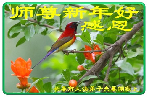 Image for article I praticanti della Falun Dafa di Changchun augurano rispettosamente al Maestro Li Hongzhi un Felice Anno Nuovo Cinese (19 Auguri) 
