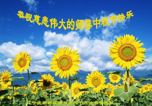 Image for article I praticanti della Falun Dafa in campagna augurano al Maestro Li Hongzhi una felice Festa di Metà Autunno (24 saluti) 