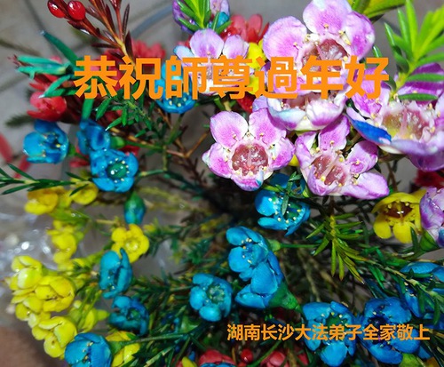 Image for article Praktisi Falun Dafa dari Kota Changsha Dengan Hormat Mengucapkan Selamat Tahun Baru Imlek Kepada Guru Li Hongzhi (24 Ucapan)