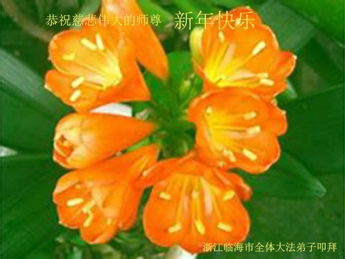 https://en.minghui.org/u/article_images/2021-12-30-21122013162471545_01_rSdvYUs.jpg