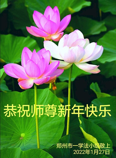Image for article I praticanti della Falun Dafa di Zhengzhou augurano rispettosamente al Maestro Li Hongzhi un felice anno nuovo cinese (24 saluti) 