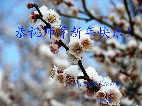 Image for article I praticati della Falun Dafa della provincia dell'Hunan augurano rispettosamente al Maestro Li Hongzhi un felice anno nuovo cinese (26 Auguri)