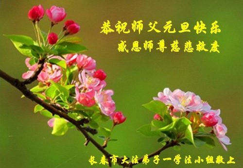 Image for article I praticanti della Falun Dafa della città di Changchun augurano rispettosamente al Maestro Li Hongzhi un felice anno nuovo (23 auguri) 