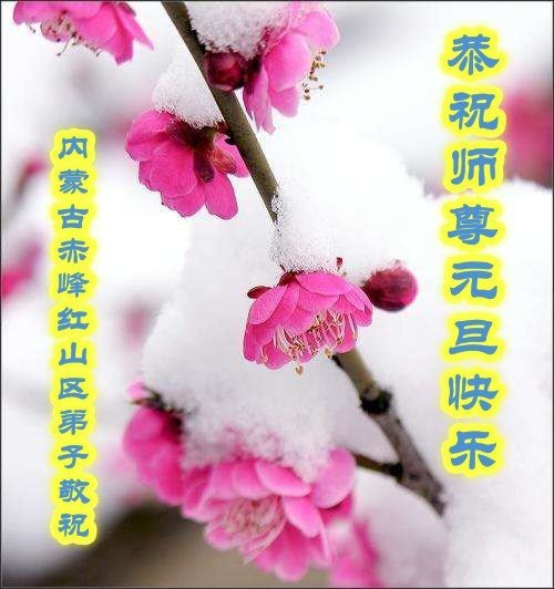 Image for article Praktisi Falun Dafa dari Provinsi Shandong, Daerah Otonomi Mongolia Dalam dan Ningxia Mengucapkan Selamat Tahun Baru kepada Guru Li Hongzhi Terhormat (34 Ucapan)