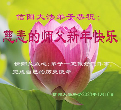Image for article Praktisi Falun Dafa dari Provinsi Henan dengan Hormat Mengucapkan Selamat Tahun Baru Imlek kepada Guru Li Hongzhi (28 Ucapan)