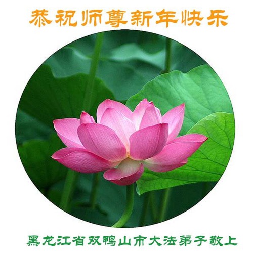 Image for article Praktisi Falun Dafa dari Provinsi Heilongjiang dengan Hormat Mengucapkan Selamat Tahun Baru kepada Guru Li Hongzhi (26 Ucapan)