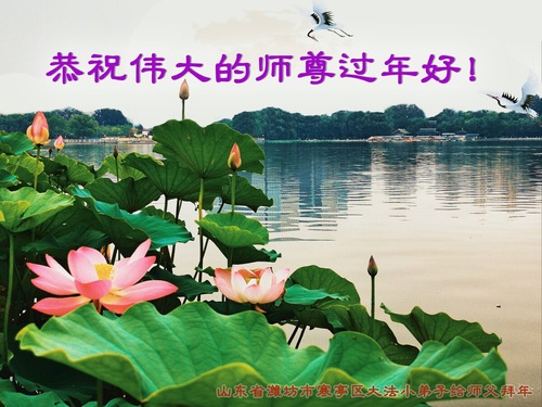 Image for article I praticanti della Falun Dafa della città di Weifang augurano rispettosamente al Maestro Li Hongzhi un Felice Anno Nuovo Cinese (26 auguri) 