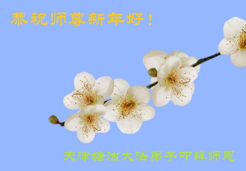 Image for article Praktisi Falun Dafa dari Tianjin Dengan Hormat Mengucapkan Selamat Tahun Baru kepada Guru Li Hongzhi (27 Ucapan)