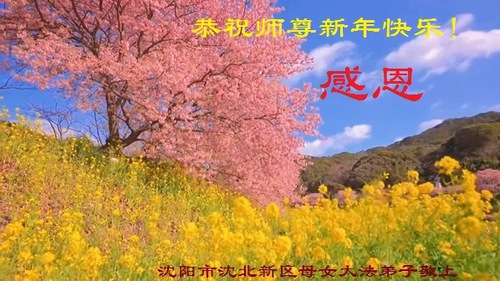 Image for article I praticanti della Falun Dafa di Shenyang augurano rispettosamente al Maestro Li Hongzhi un felice anno nuovo cinese (22 saluti) 