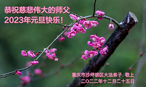 Image for article I praticanti della Falun Dafa di Chongqing augurano con rispetto al Maestro Li Hongzhi un felice anno nuovo (21 saluti) 