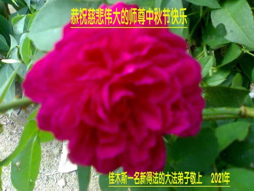 Image for article Praktisi Baru dari Seluruh Tiongkok Mengucapkan Selamat Festival Bulan kepada Guru Li