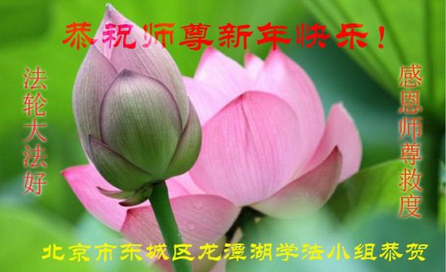 Image for article I praticanti della Falun Dafa di Pechino augurano rispettosamente al Maestro Li Hongzhi un Felice Anno Nuovo Cinese (22 Auguri) 