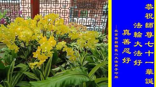 Image for article I praticanti della Falun Dafa della città di Beijing celebrano la Giornata mondiale della Falun Dafa e augurano rispettosamente un buon compleanno al Maestro Li Hongzhi (33 auguri) 
